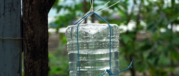 Cách làm chậu rửa từ ống tiêm và chai nhựa