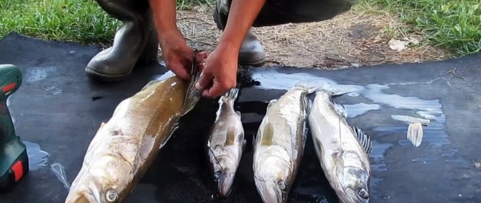 Nous nettoyons la prise avec un tournevis pendant la pêche en quelques minutes