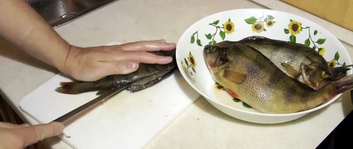 Tips from experienced fishermen 3 ways to clean perch quickly and without dirt