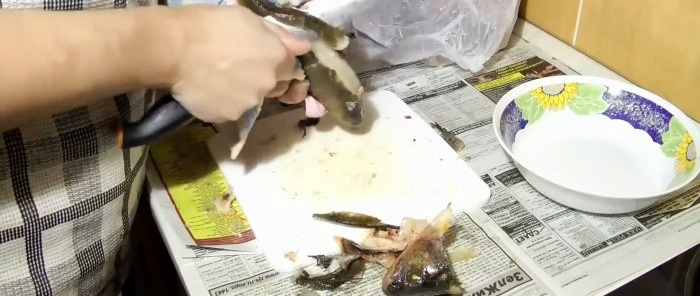 Savjeti iskusnih ribiča 3 načina za čišćenje grgeča brzo i bez prljavštine