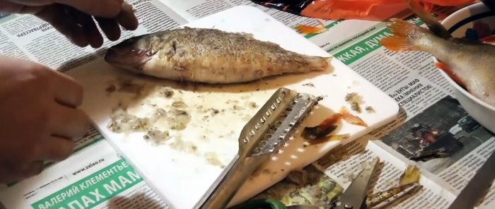 Consells de pescadors experimentats 3 maneres de netejar la perxa ràpidament i sense brutícia