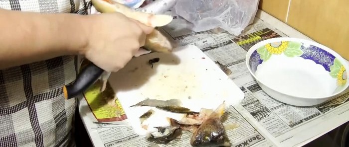 Consells de pescadors experimentats 3 maneres de netejar la perxa ràpidament i sense brutícia