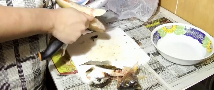 Mga tip mula sa mga makaranasang mangingisda 3 paraan upang linisin ang perch nang mabilis at walang dumi