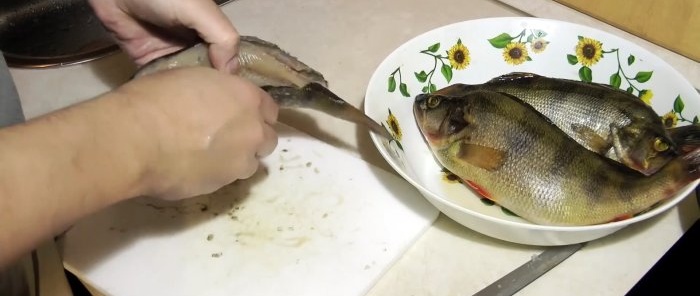 Savjeti iskusnih ribiča 3 načina za čišćenje grgeča brzo i bez prljavštine