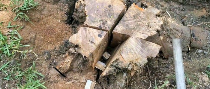 How to remove a large stump using a wedge is easy