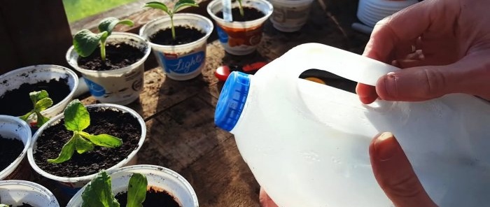 6 kostenlose Gartengeräte aus Milchflaschen