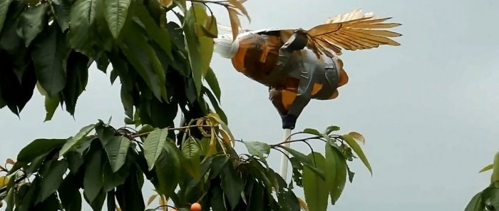 Con una botella de PET tan rellena, los pájaros no volarán a un kilómetro de su sitio