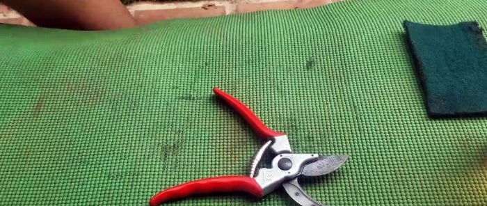 Hoe een roestige tuinschaar te herstellen zonder demontage