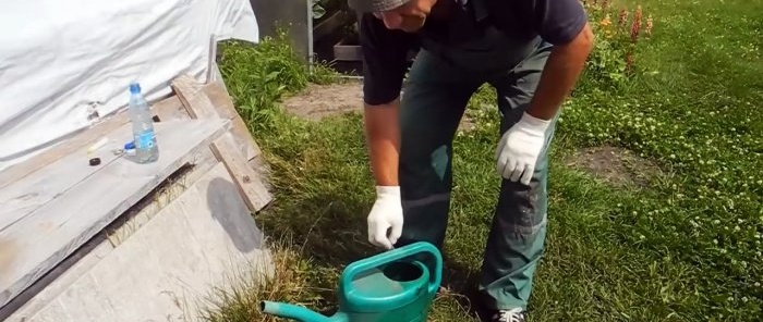 Livramos a área de todos os formigueiros com apenas uma ampola de inseticida