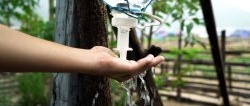 How to make a washbasin from a syringe and a plastic bottle