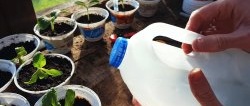 6 ferramentas de jardim gratuitas feitas de garrafas de leite