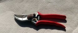Как да възстановите ръждясали градински ножици без разглобяване