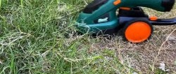 6 useful tools for your garden with AliExpress