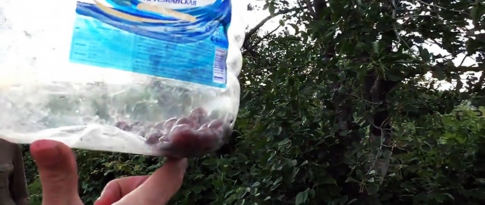 Un cueilleur de cerises délicat à partir de bouteilles PET en 5 minutes