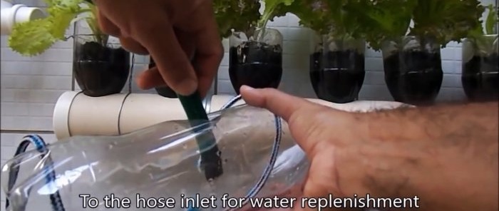 Hvordan lage et automatisk vanningssystem fra en vanlig flaske