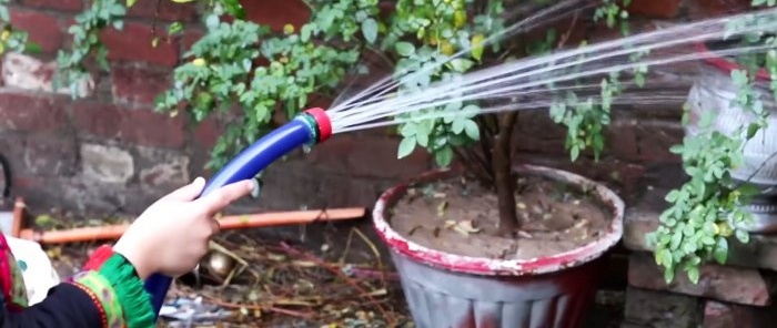 Ücretsiz bir bahçe hortumu yağmurlama sistemi nasıl yapılır
