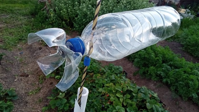 Deze flessenspinner jaagt in één klap alle vogels in jouw omgeving weg.