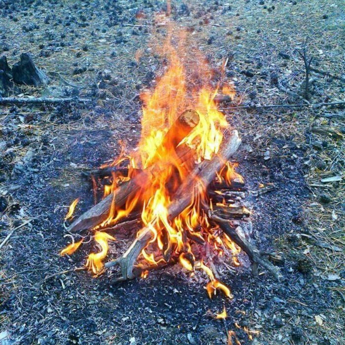 Come accendere il fuoco nella foresta senza fiammiferi o accendino