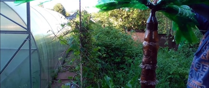 Cómo hacer una bonita palmera para el jardín con botellas de PET