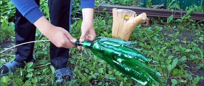 Hogyan készítsünk PET-palackokból gyönyörű pálmafát a kertbe