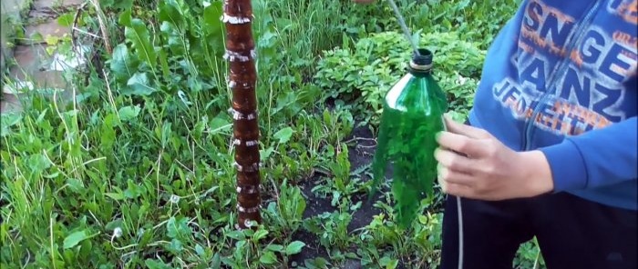 Πώς να φτιάξετε έναν όμορφο φοίνικα για τον κήπο από μπουκάλια PET