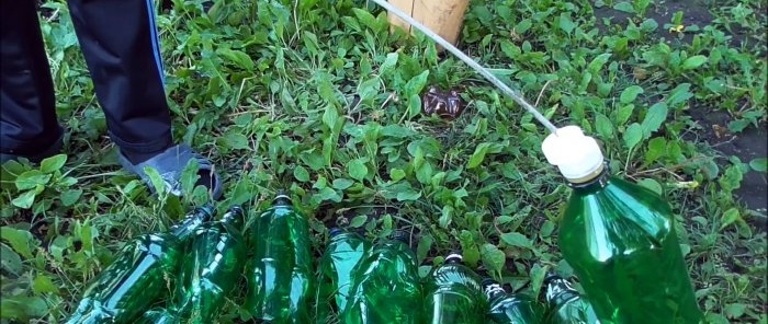 Wie man aus PET-Flaschen eine schöne Palme für den Garten bastelt