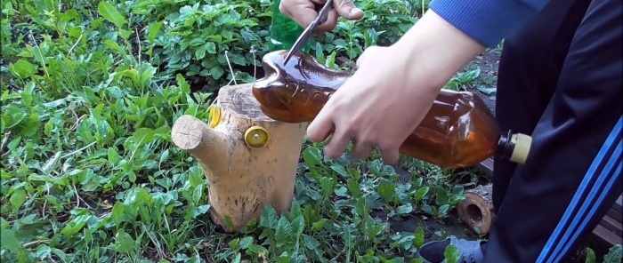 Cách làm cây cọ đẹp cho sân vườn từ chai PET