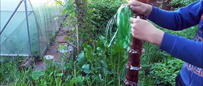 Kako napraviti prekrasnu palmu za vrt od PET boca