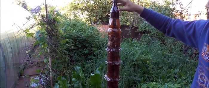 Cómo hacer una bonita palmera para el jardín con botellas de PET