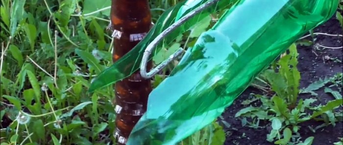 Sådan laver du et smukt palmetræ til haven af ​​PET-flasker