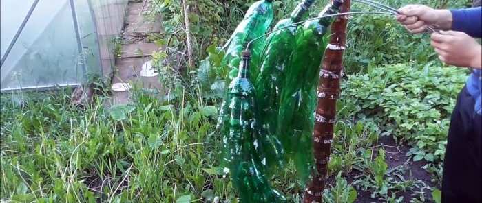 Hvordan lage et vakkert palmetre til hagen fra PET-flasker