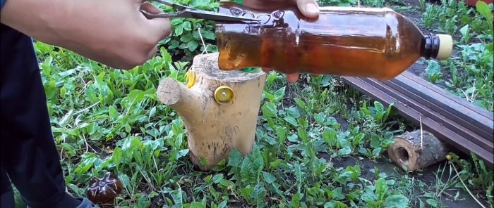 איך להכין עץ דקל יפה לגינה מבקבוקי PET