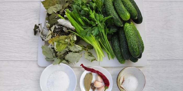 Hemmeligheden bag knasen af ​​letsaltede agurker - trin for trin opskrift