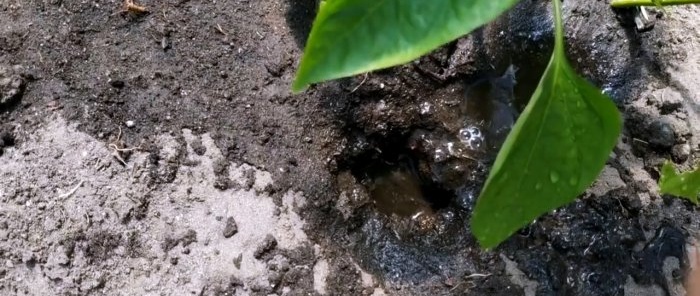A one-time treatment using this method will get rid of ants forever