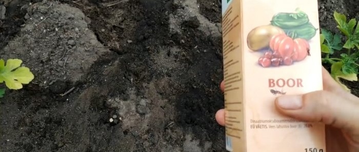 A one-time treatment using this method will get rid of ants forever