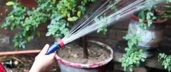 Как да направите безплатна пръскачка от градински маркуч