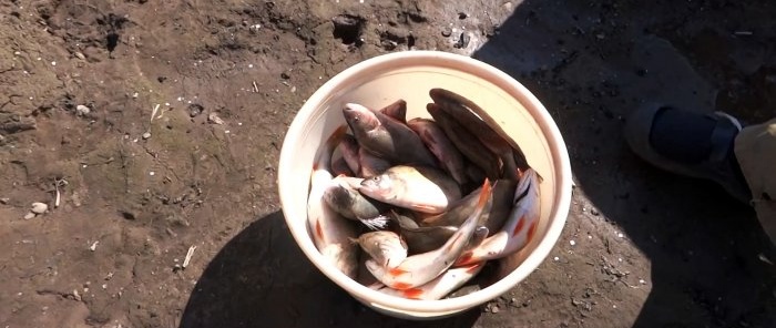 Hvordan rense en bøtte med fisk på 15 minutter
