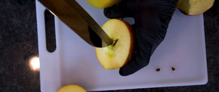 Hvordan gjøre et eplefrø om til et tre