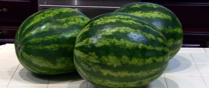 8 signs that will help you choose a sugar watermelon with almost 100 probability