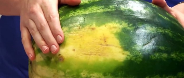 8 tecken som hjälper dig att välja en sockervattenmelon med nästan 100 sannolikhet