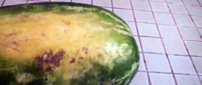 8 znakov, ktoré vám pomôžu vybrať si cukrový melón s takmer 100-násobnou pravdepodobnosťou