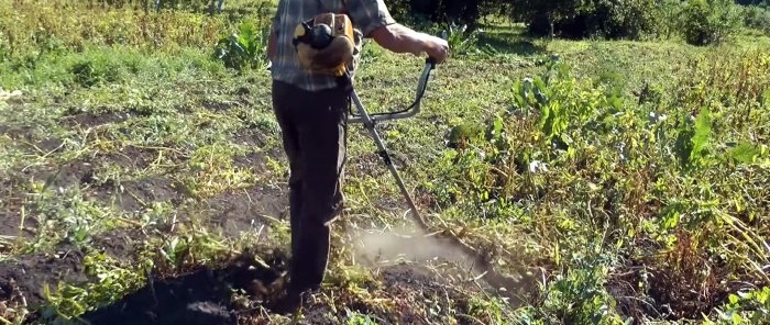 Bulvės pačios iškyla iš žemės, paprastas bulviakasis traktoriui, kurį gali pakartoti kiekvienas