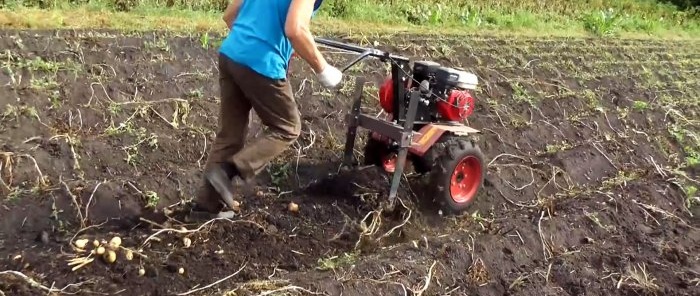 As batatas saem sozinhas do solo, um simples escavador de batatas para um trator de passeio que qualquer um pode repetir
