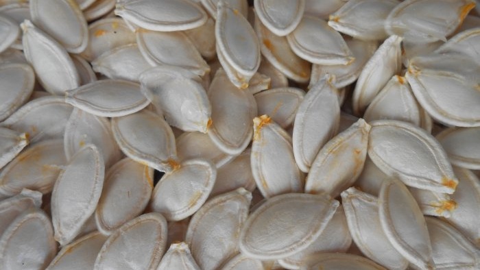 Comment préserver la germination des graines de légumes et de fleurs à la maison