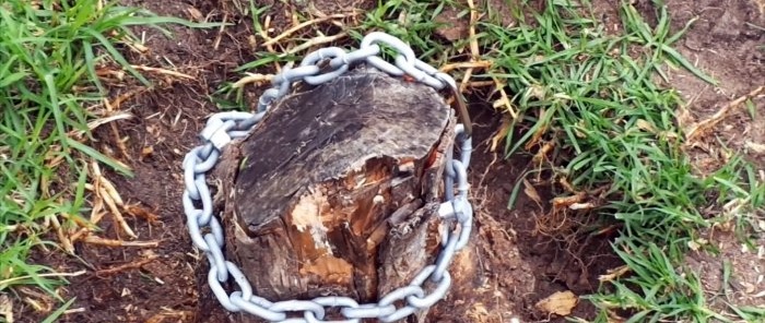 Comment enlever une souche d'arbre à l'aide d'un cric de voiture