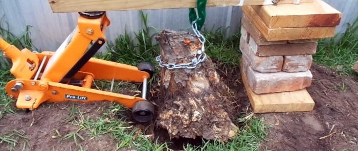 Cómo quitar el tocón de un árbol con un gato para automóvil