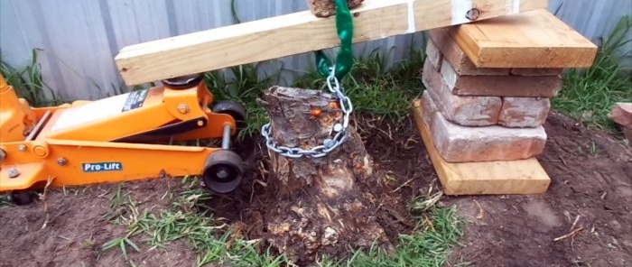 Cómo quitar el tocón de un árbol con un gato para automóvil