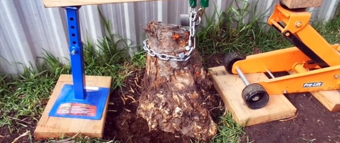 How to remove a tree stump using a car jack