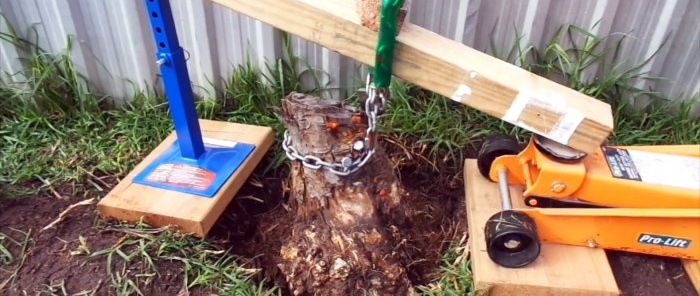 Cómo quitar el tocón de un árbol con un gato para automóvil