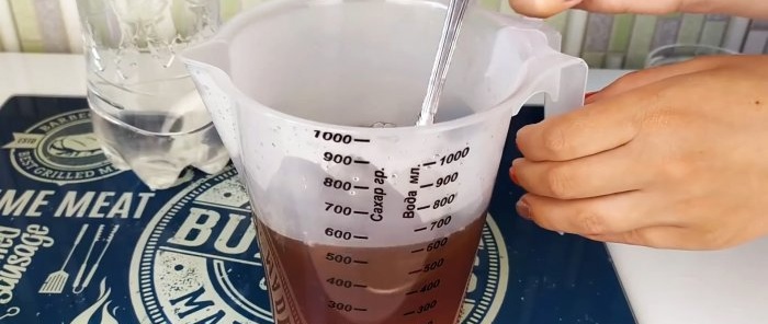 Kvass tulad ng mula sa isang bariles, malusog mula sa chicory